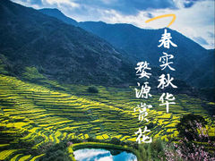 -篁岭景区