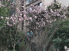 -鸿恩陶然大观园