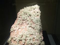 -中华赏石园