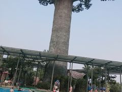 -苏州乐园森林水世界