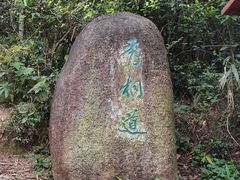 -梧桐山风景名胜区