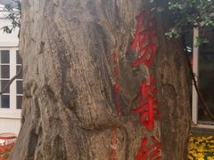 -江宁会馆(劈柴院店)