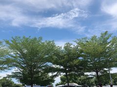 -亚龙湾国际玫瑰谷