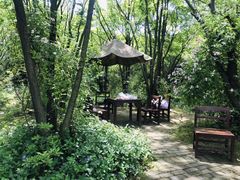 -鹅湖玫瑰文化园
