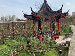-南汇桃花村
