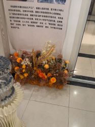 -香秀空间科技抗衰·美容中心