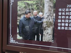 -牛背梁国家森林公园