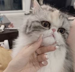 -沐白•盛妍日式美甲美睫
