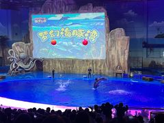 -华夏文旅海洋公园