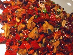 -雲蜀龙阁·金牌水煮鱼(方庄店)