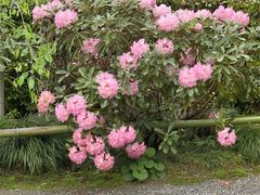 -三千院