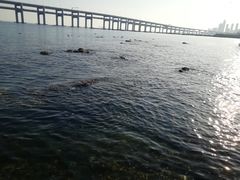 景点-黑石礁公园