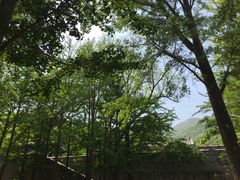 -阳台山自然风景区