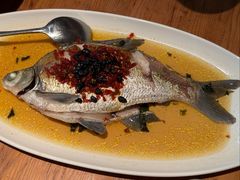 -田小狗的饭店(碧桂园店)