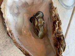 -威海蓝海御华大饭店·蓝钻美食自助百汇