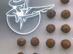 -蔻蔻椰·鲜萃椰子水(欢乐港湾店)