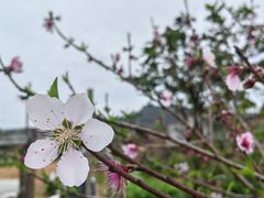 -云洞岩风景区