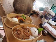 -猫小院猫主题咖啡厅(北锣店)
