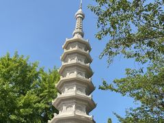 -海东龙宫寺