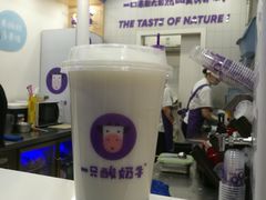 -一只酸奶牛(八一路店)
