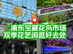 -双季花艺园艺市场(浦东店)