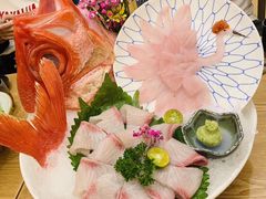 -一本钓鲔鱼屋