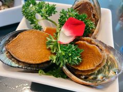 冷鲍鱼-Mr·Fish鱼鲜生海鲜放题(银泰in99店)