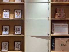 -左悦·艾灸调理·推拿按摩·精油SPA(卓悦汇店)