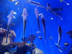 -多彩贵州城极地海洋世界