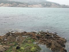 -海驴岛(荣成市)