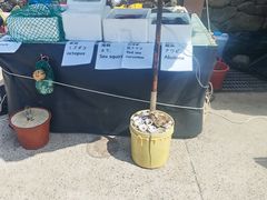 -柱状节理带