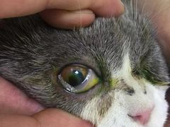 -惠康宠物医院(华能路店)