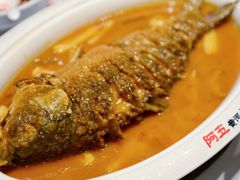 -阿五黄河大鲤鱼(海尚店)
