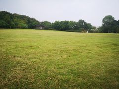 -梁鸿国家湿地公园