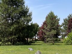 -秦始皇帝陵博物院(兵马俑)