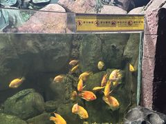-苏州海洋馆