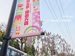 -太阳宫公园