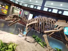 -自贡恐龙博物馆