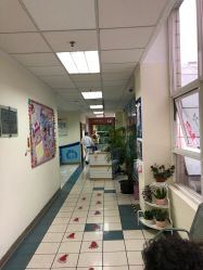 -上海交通大学医学院附属上海儿童医学中心(陆家嘴总院区)