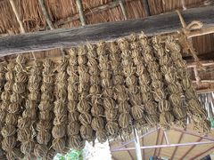 -海南槟榔谷黎苗文化旅游区