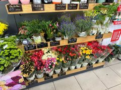 -Co.opmart (Cong Quynh)