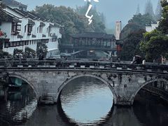 -涵家味土菜馆·徽州一绝臭鳜鱼(三河古镇店)