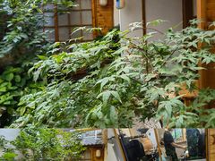 -边渡咖啡烘焙店(昙华林店)