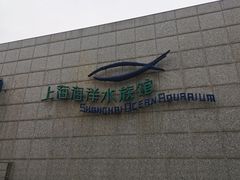-上海海洋水族馆