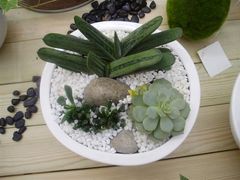 -荷兰布尔玛国际花艺学院