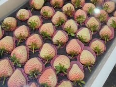 -西郊国际农产品交易中心