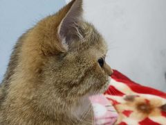 -太原东方动物医院(小店分院)