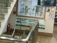 -爱侣·安琦尔宠物医院·中兽医针灸·心内科·狂犬免疫点(宝山区院)