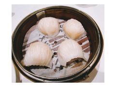 -澳洲牛奶公司(佐敦店)