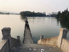 -鲁镇
